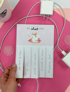 Station de re-chat-rge